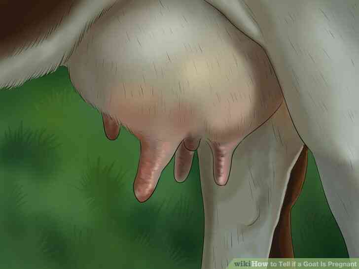 Image intitulée le Lait d